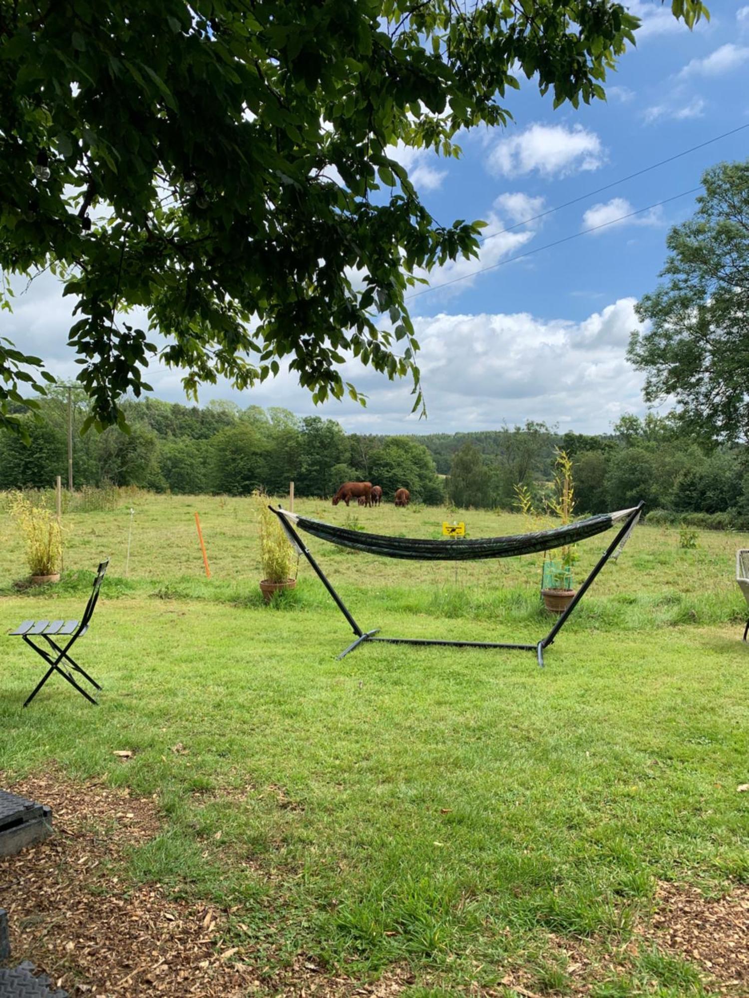 American School Bus Retreat With Hot Tub In Sussex Meadow Uckfield Kültér fotó