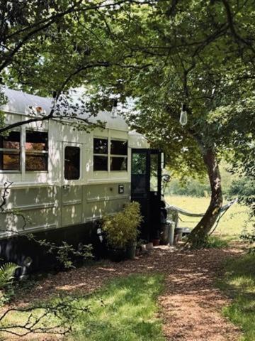 American School Bus Retreat With Hot Tub In Sussex Meadow Uckfield Kültér fotó